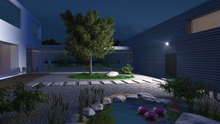 Load image into Gallery viewer, Spot Garden NightAutomatic